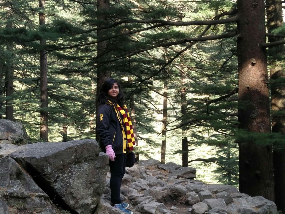 Photo of McLeod Ganj, Dharamshala, Himachal Pradesh, India by Rhea Chawla