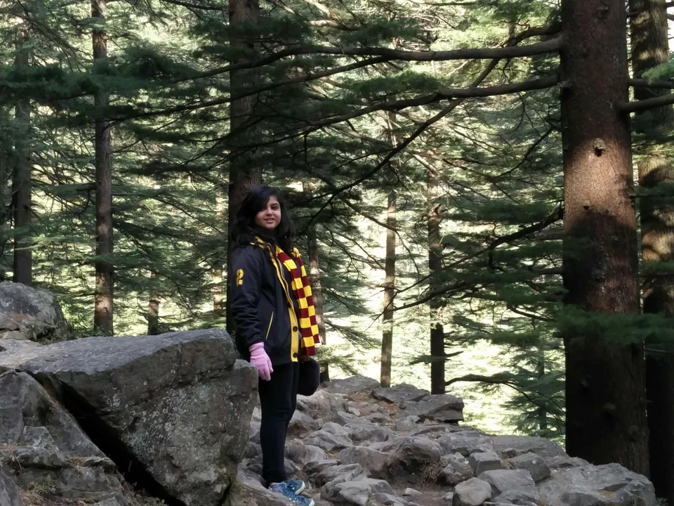 Photo of McLeod Ganj, Dharamshala, Himachal Pradesh, India by Rhea Chawla