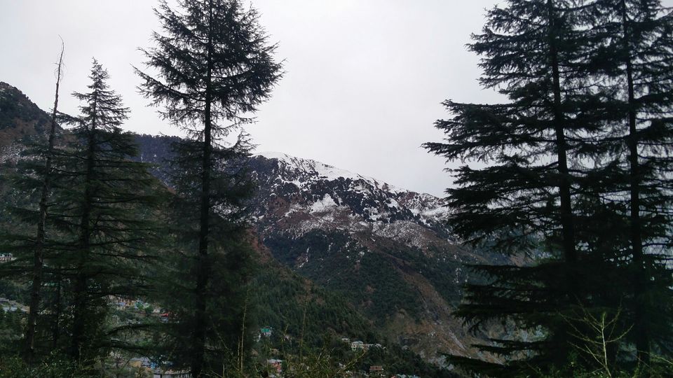 Photo of McLeod Ganj, Dharamshala, Himachal Pradesh, India by Rhea Chawla