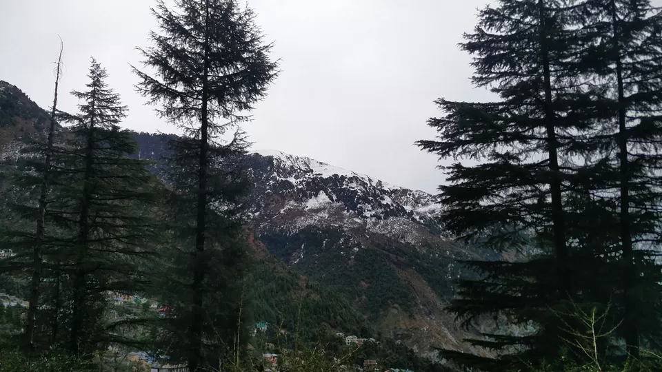 Photo of McLeod Ganj, Dharamshala, Himachal Pradesh, India by Rhea Chawla