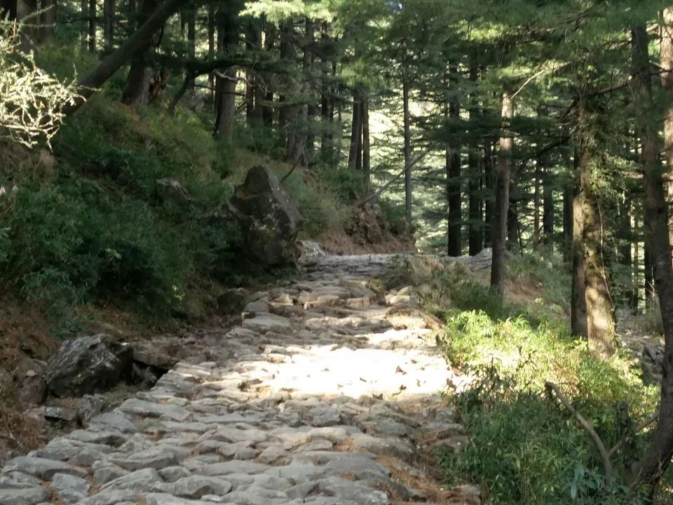 Photo of McLeod Ganj, Dharamshala, Himachal Pradesh, India by Rhea Chawla