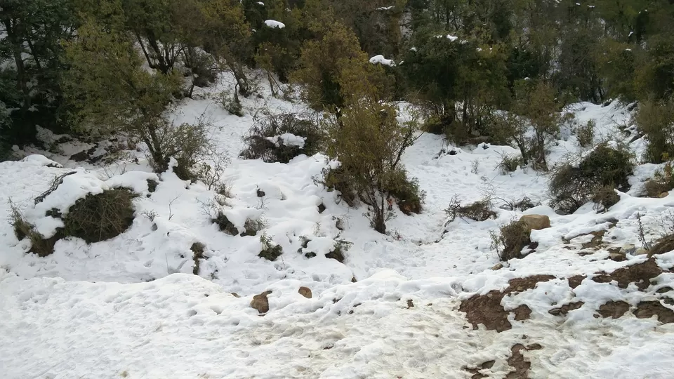 Photo of McLeod Ganj, Dharamshala, Himachal Pradesh, India by Rhea Chawla