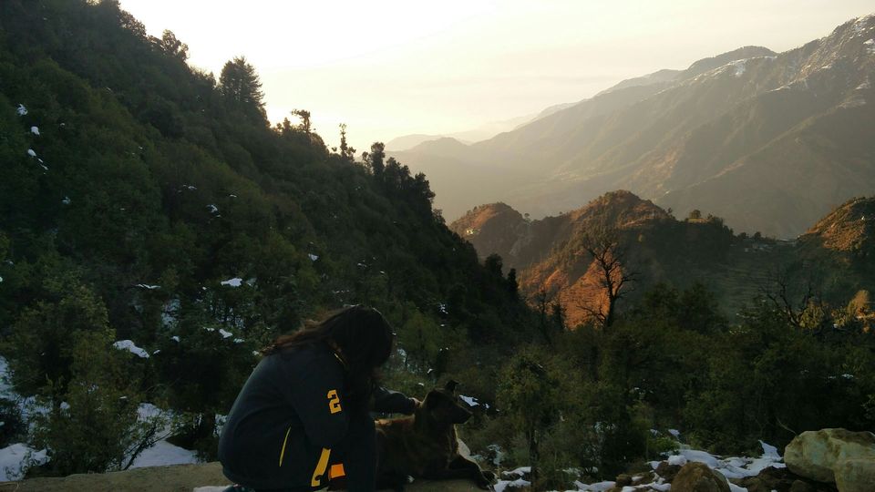 Photo of McLeod Ganj, Dharamshala, Himachal Pradesh, India by Rhea Chawla