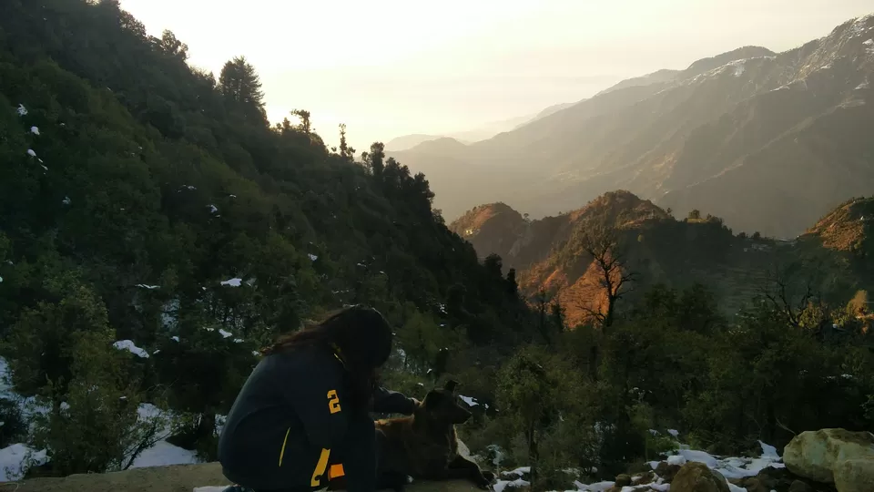 Photo of McLeod Ganj, Dharamshala, Himachal Pradesh, India by Rhea Chawla