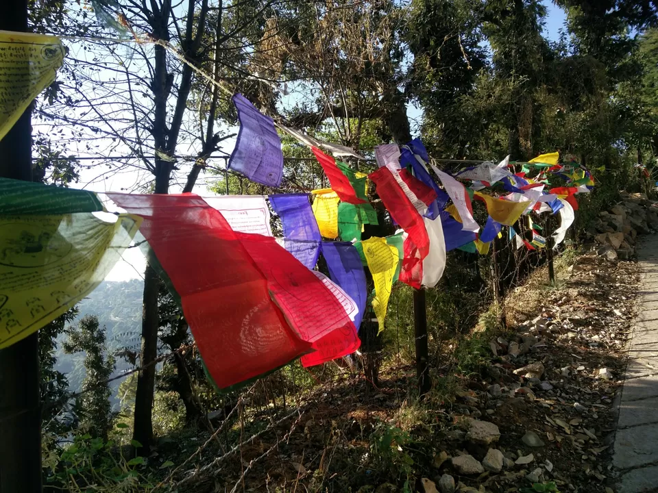 Photo of McLeod Ganj, Dharamshala, Himachal Pradesh, India by Rhea Chawla