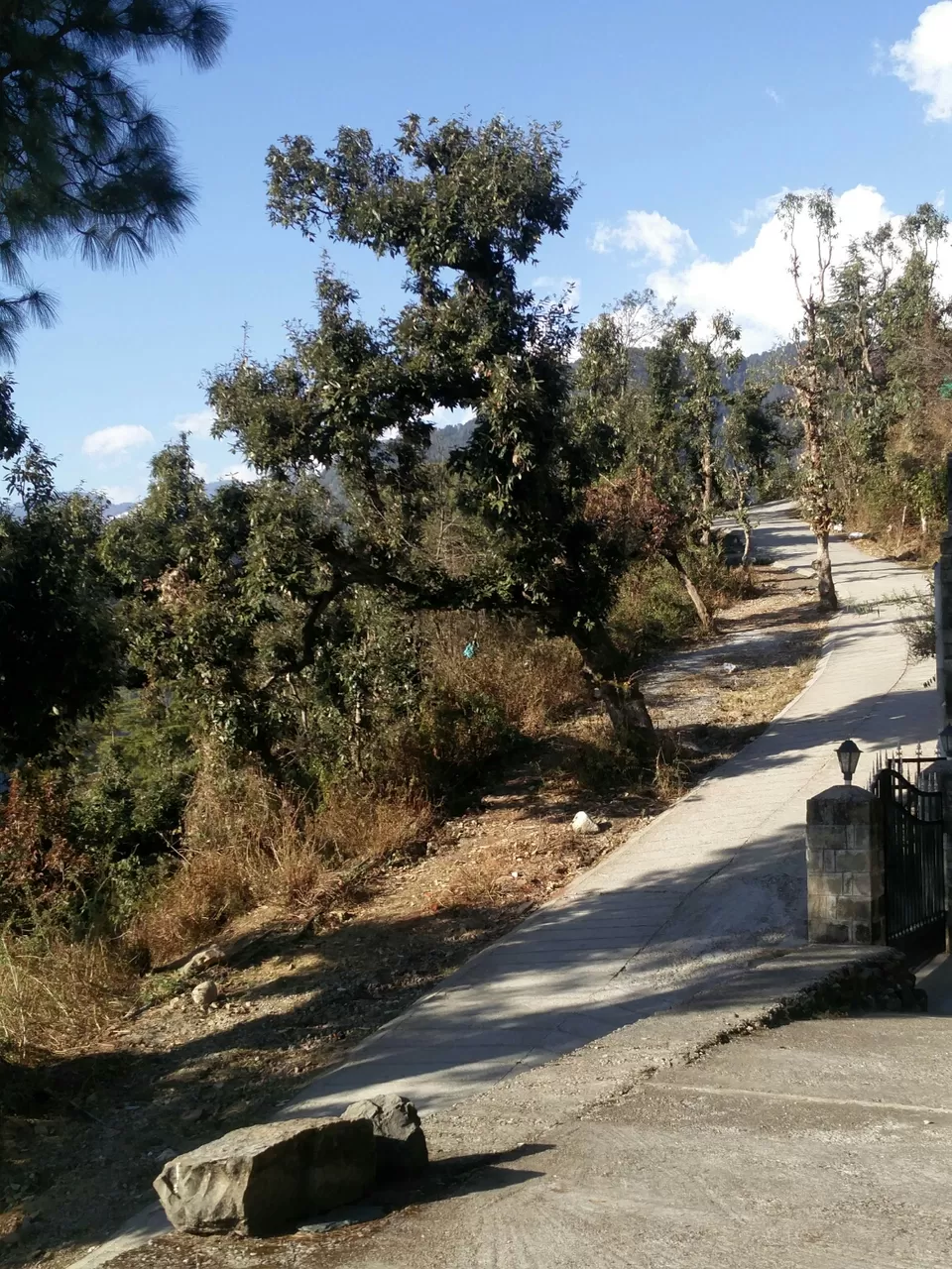 Photo of McLeod Ganj, Dharamshala, Himachal Pradesh, India by Rhea Chawla
