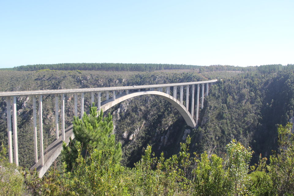 Photo of Bloukrans Bridge, Kareedouw, Eastern Cape, South Africa by Deepti Badve