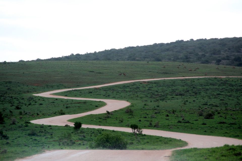 Photo of Addo Elephant National Park, Addo, South Africa by Deepti Badve