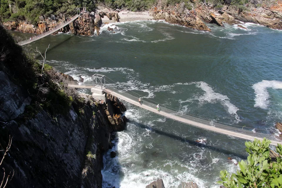 Photo of Tsitsikamma National Park, South, Paarl, South Africa by Deepti Badve