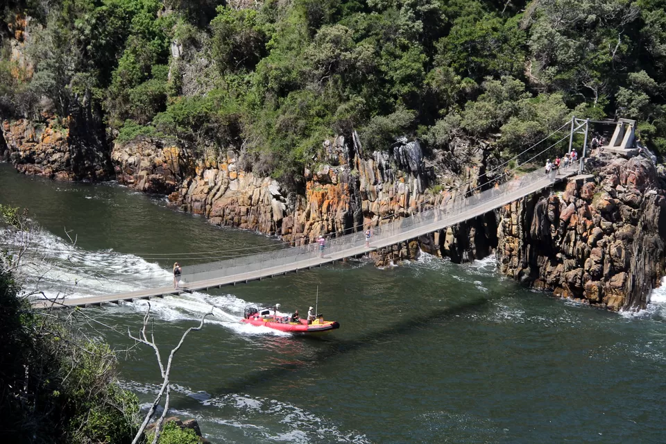 Photo of Tsitsikamma National Park, South, Paarl, South Africa by Deepti Badve