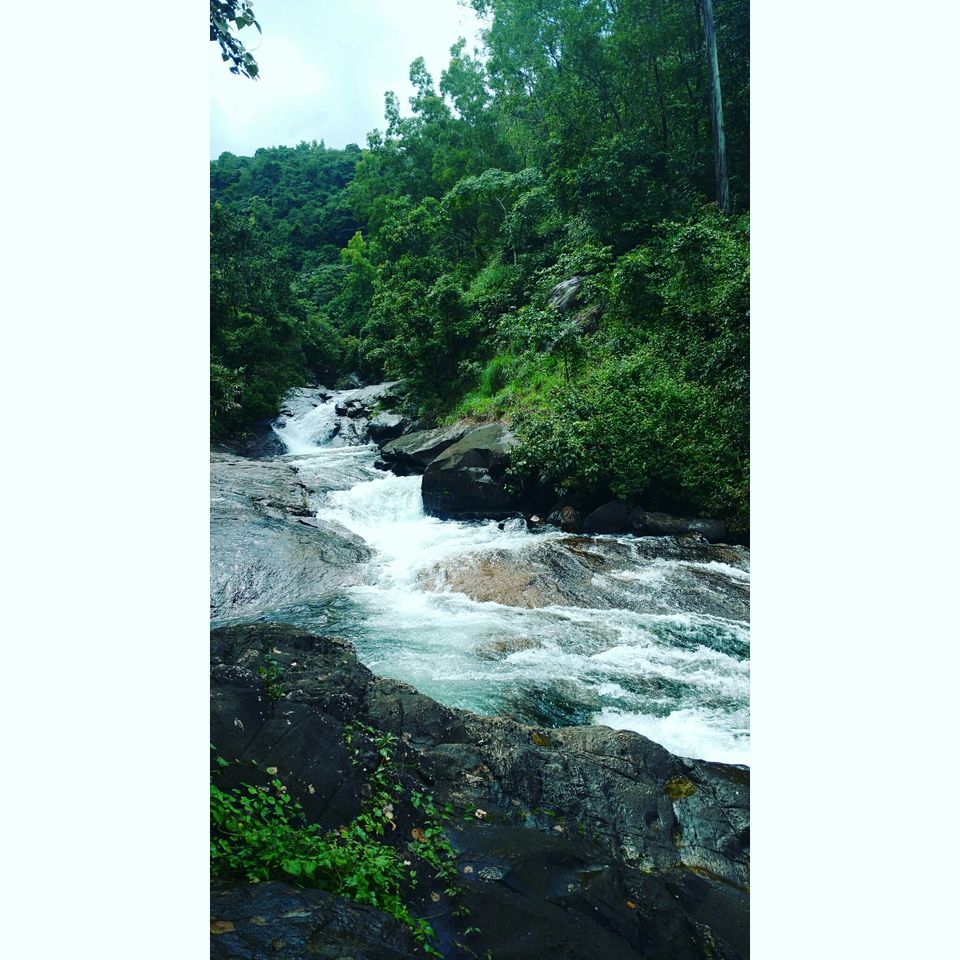 Photo of Wayanad , The Green Paradise by Shantanu Subramanian