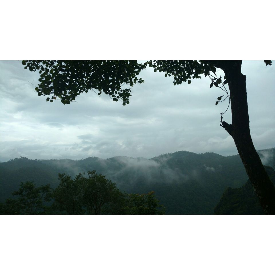 Photo of Wayanad , The Green Paradise by Shantanu Subramanian