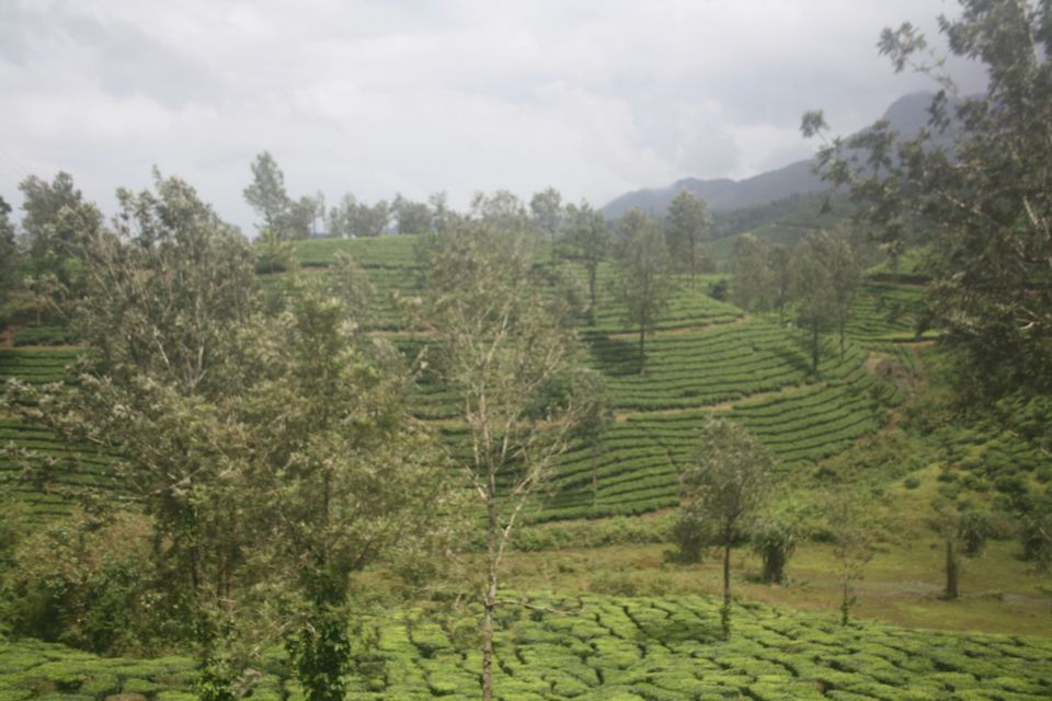Photo of Wayanad , The Green Paradise by Shantanu Subramanian