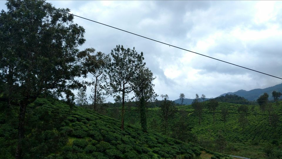 Photo of Wayanad , The Green Paradise by Shantanu Subramanian