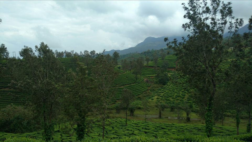 Photo of Wayanad , The Green Paradise by Shantanu Subramanian