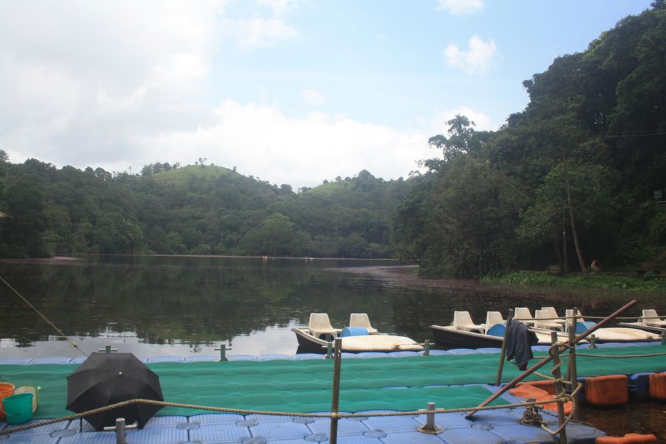 Photo of Wayanad , The Green Paradise by Shantanu Subramanian