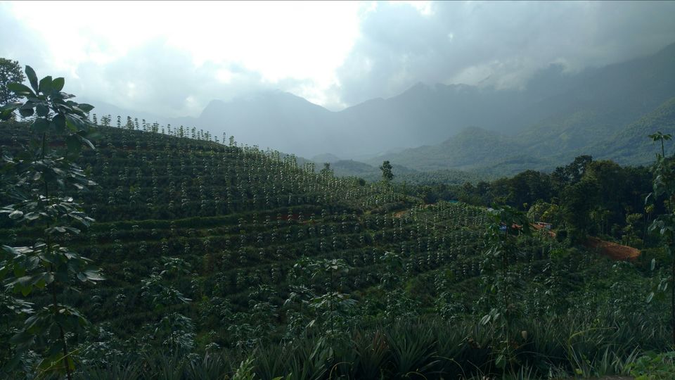 Photo of Wayanad , The Green Paradise by Shantanu Subramanian