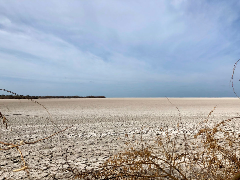 Photo of DHANUSHKODI - THE LAST LAND by Naveen Kumaar
