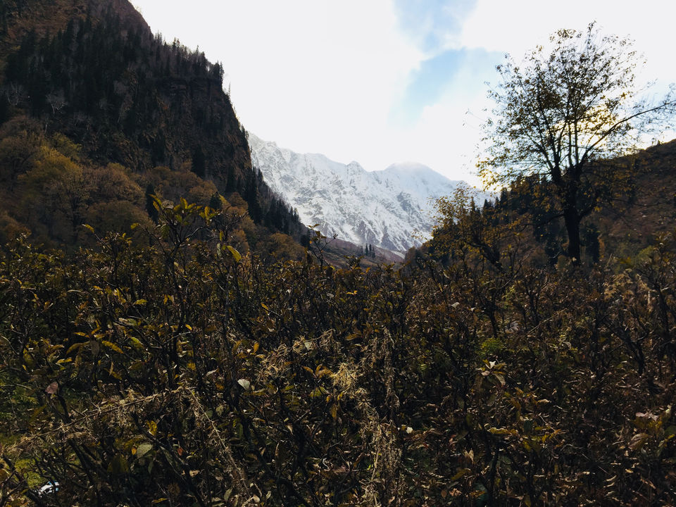 Photo of Dhundi, Himachal Pradesh, India by Aditya Singh(Kakey)