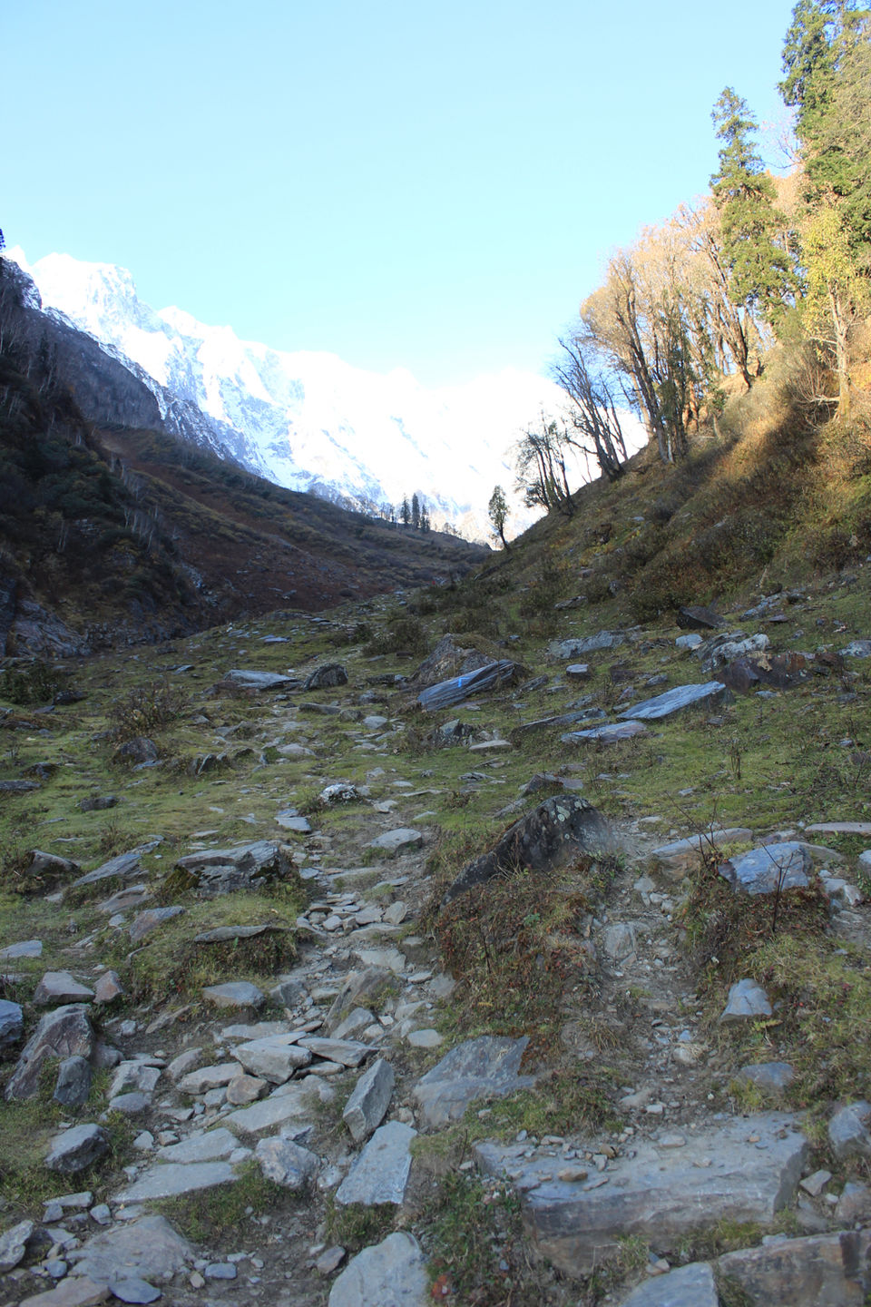 Photo of Dhundi, Himachal Pradesh, India by Aditya Singh(Kakey)