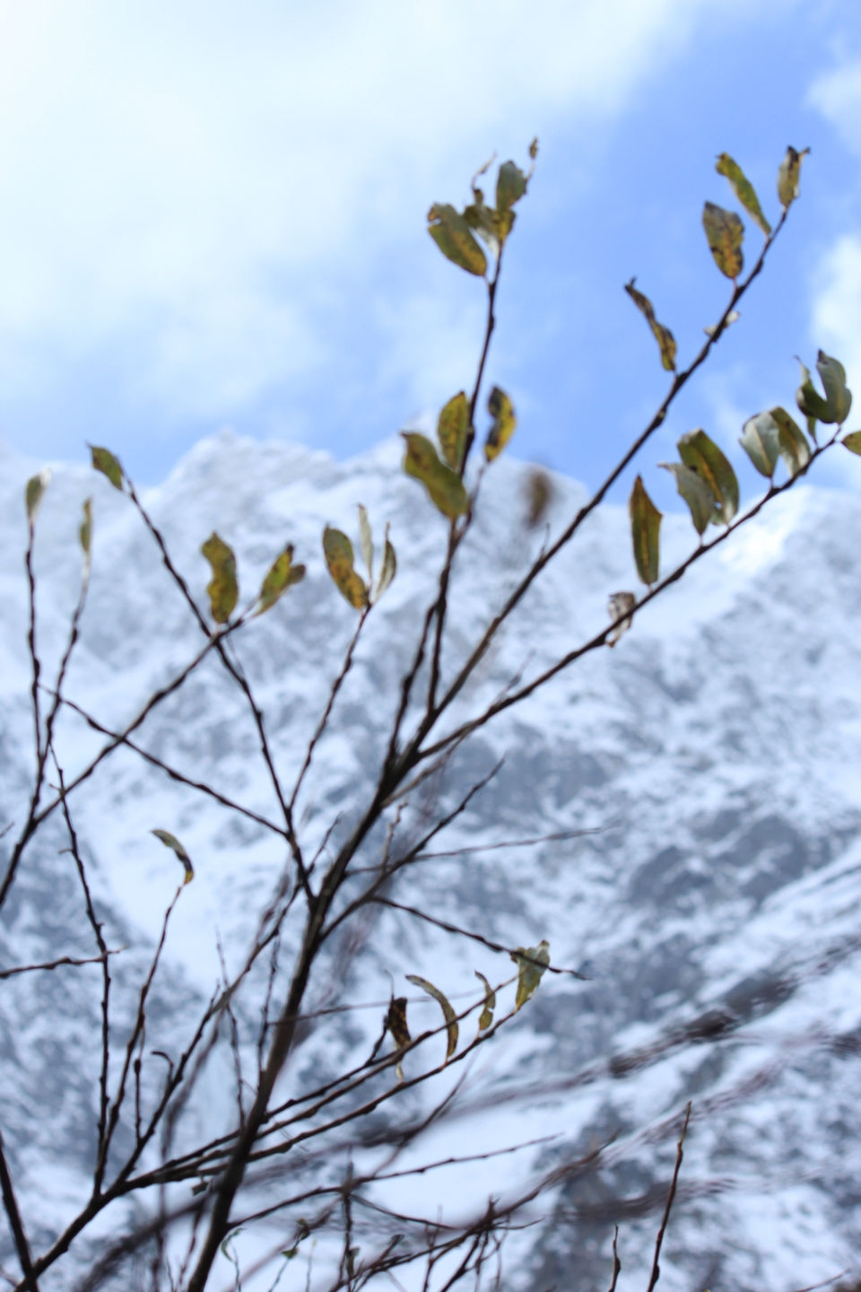 Photo of Dhundi, Himachal Pradesh, India by Aditya Singh(Kakey)