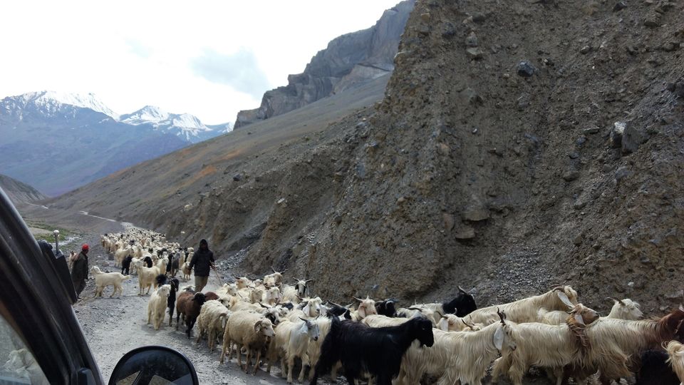 Photo of Spiti Valley & Kinnaur : Budget Backpacking 5/13 by Sudip Manpuria