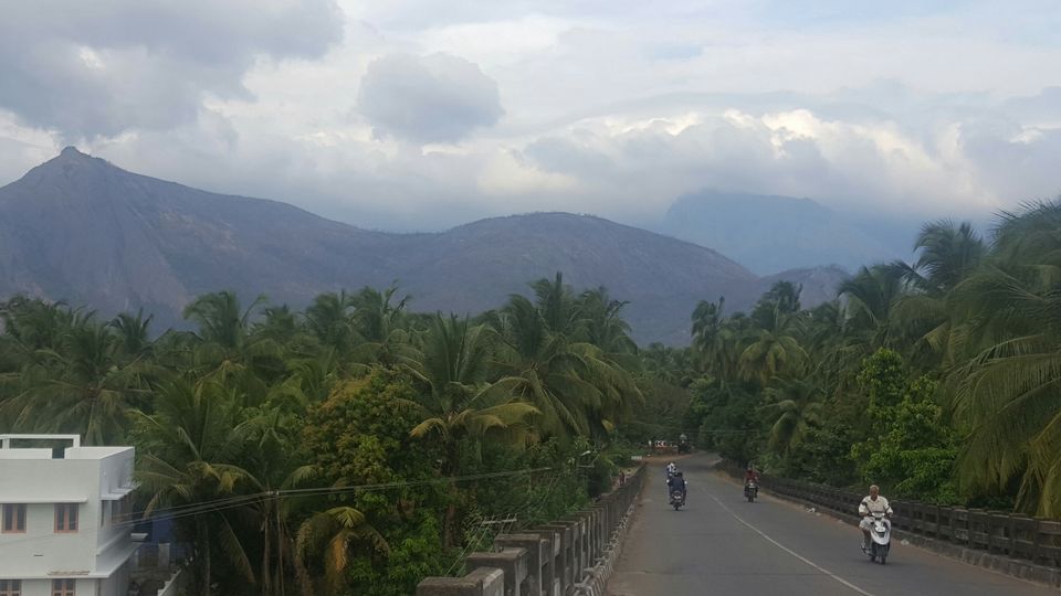 Photo of Kava, Palakkad, Kerala, India by Suraj Nair