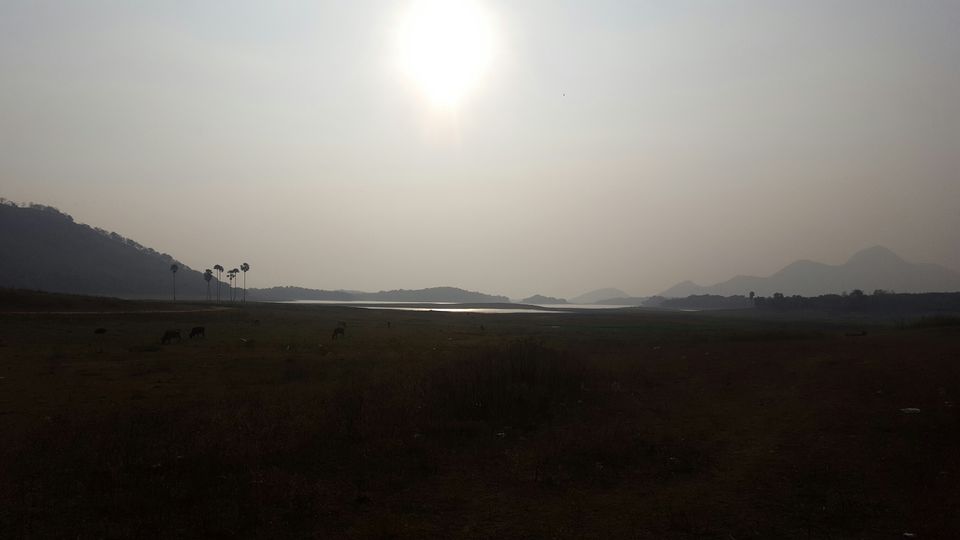 Photo of Kava, Palakkad, Kerala, India by Suraj Nair