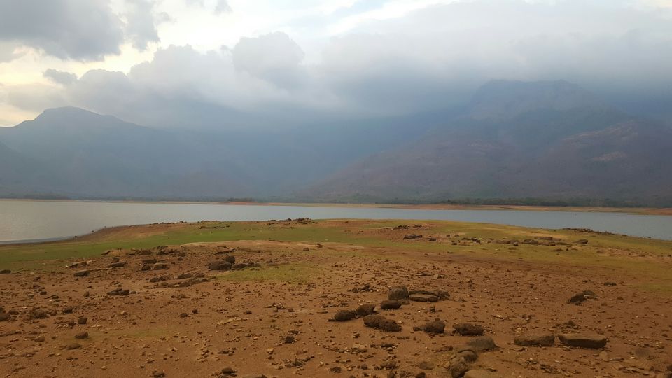 Photo of Kava, Palakkad, Kerala, India by Suraj Nair