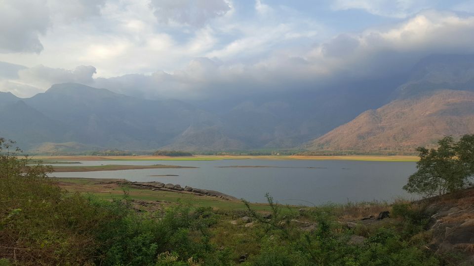 Photo of Kava, Palakkad, Kerala, India by Suraj Nair