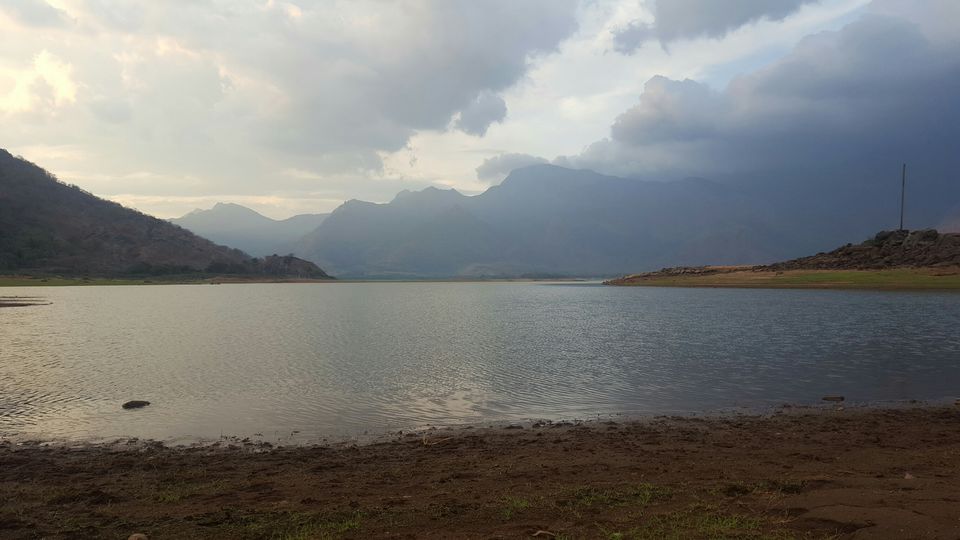 Photo of Kava, Palakkad, Kerala, India by Suraj Nair