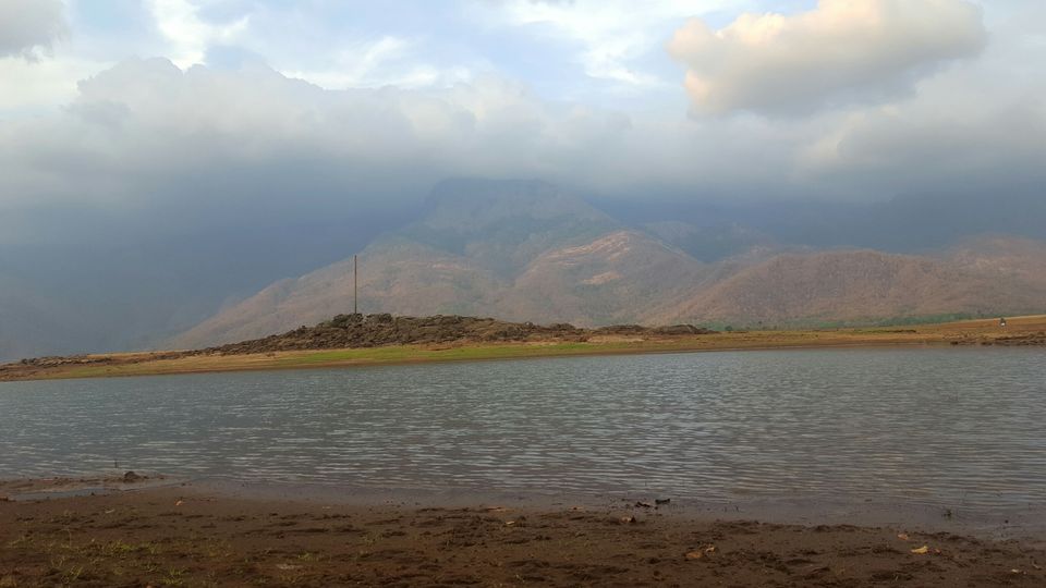 Photo of Kava, Palakkad, Kerala, India by Suraj Nair