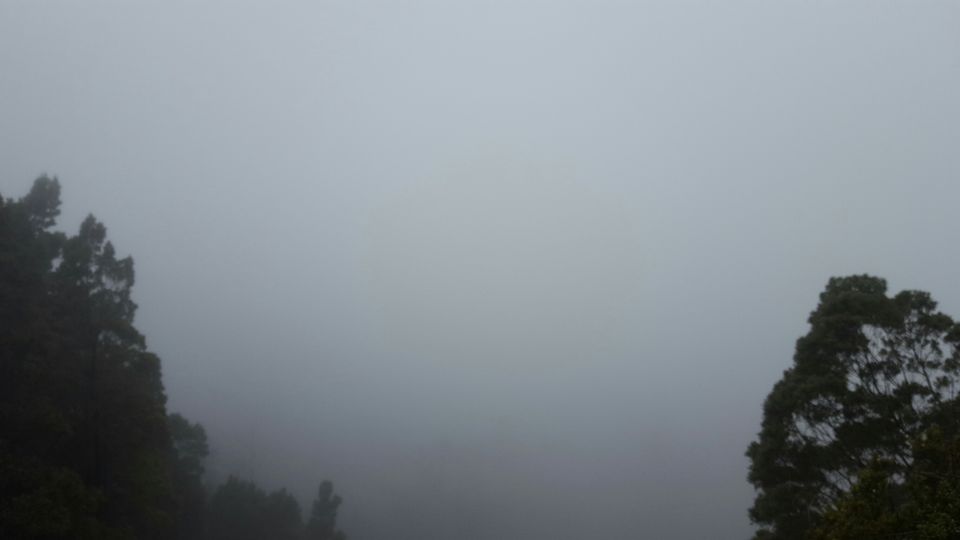 Photo of Ooty, Tamil Nadu, India by Suraj Nair