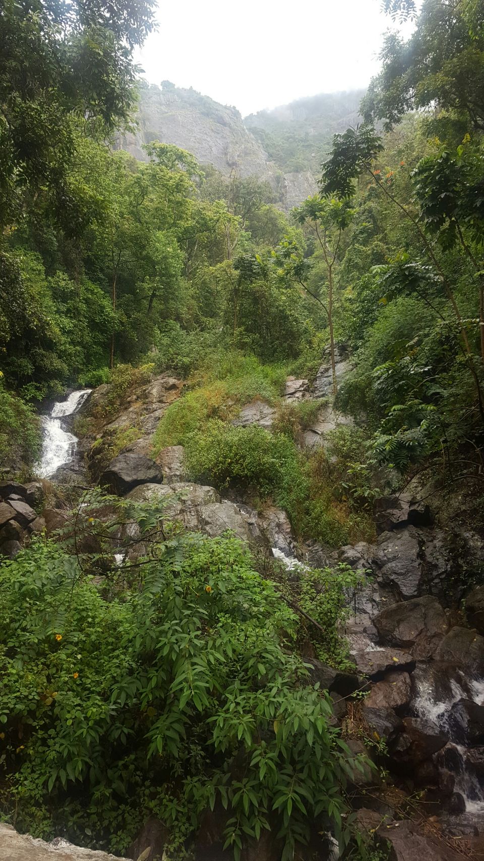 Photo of Ooty, Tamil Nadu, India by Suraj Nair