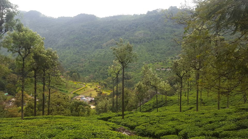 Photo of Ooty, Tamil Nadu, India by Suraj Nair