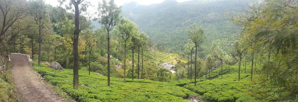 Photo of Ooty, Tamil Nadu, India by Suraj Nair
