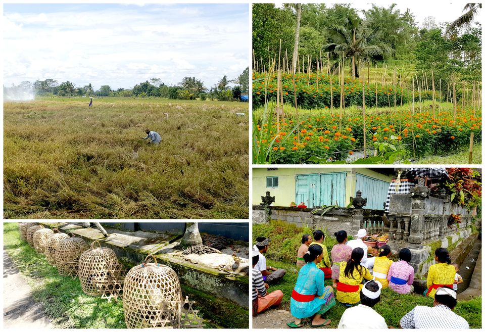 Photo of Bali bucket list with Bae and Baby by Thushara Mohanan