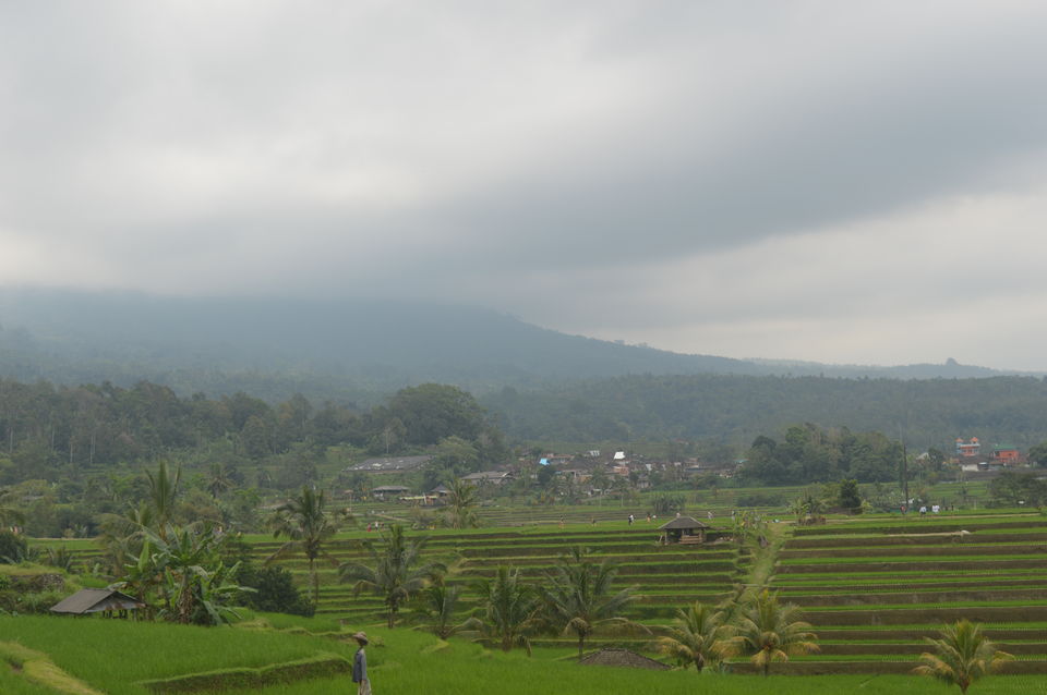 Photo of Guide to Bali 9/10 by Nero