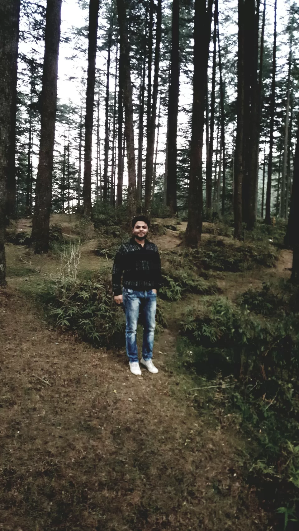 Photo of Chamba-Dalhousie Road, Chamba, India by Sahil Manku