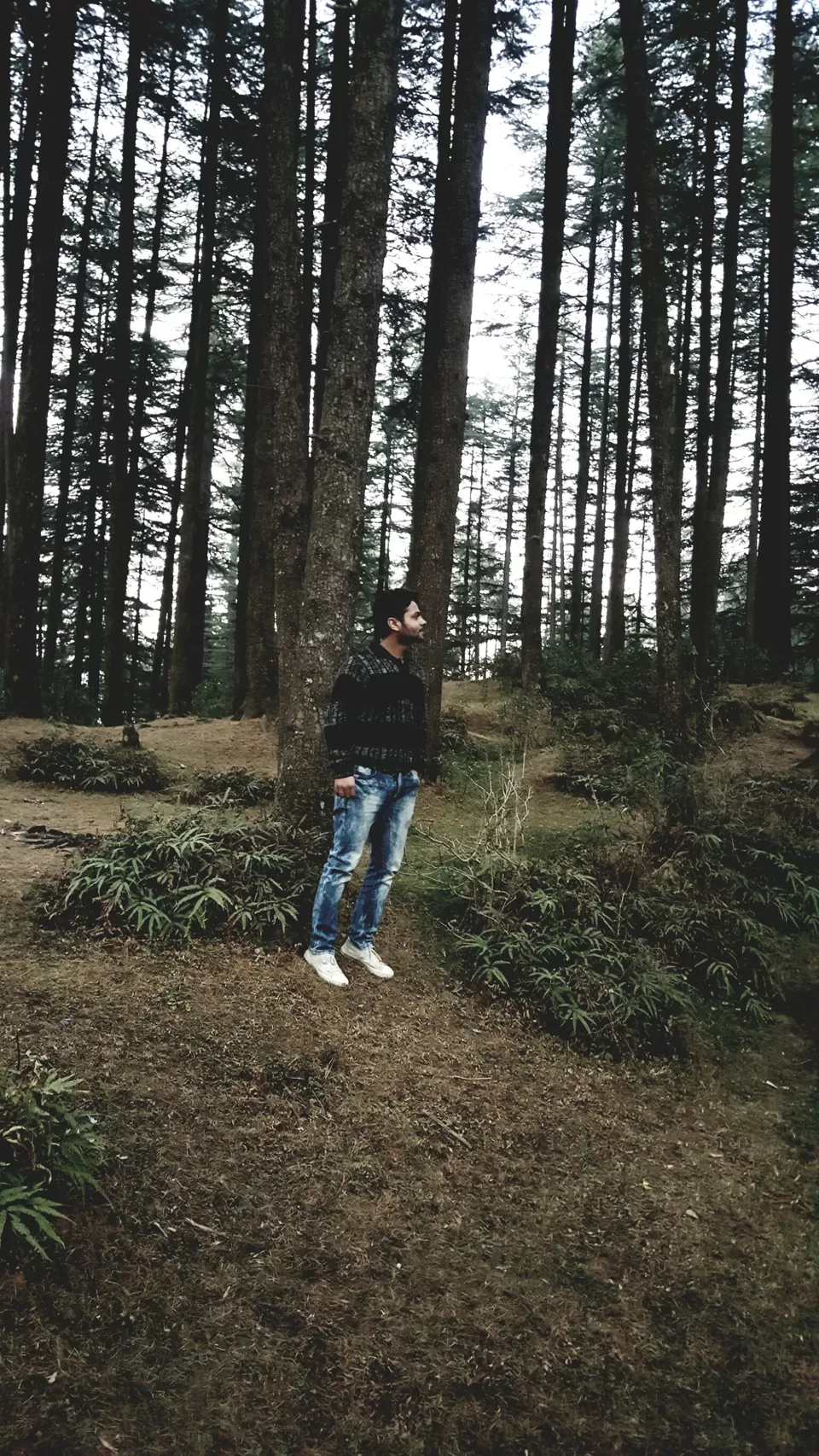 Photo of Chamba-Dalhousie Road, Chamba, India by Sahil Manku