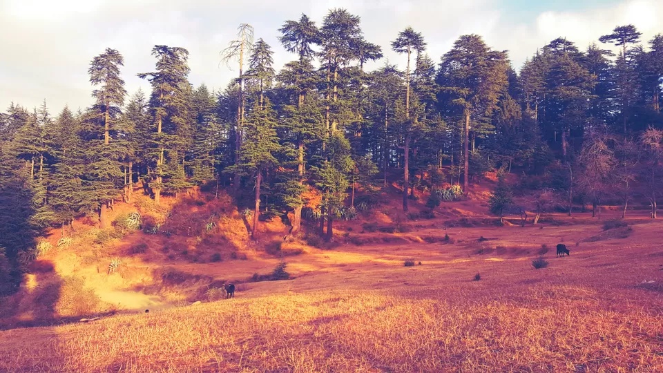Photo of Unnamed Road, Chamba, India by Sahil Manku