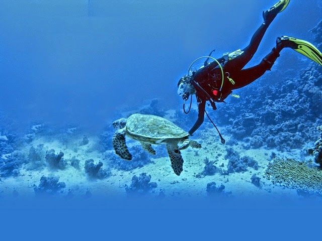 Photo of 3 Best Beaches in Goa: Escape the crowd! 1/1 by travellerindia