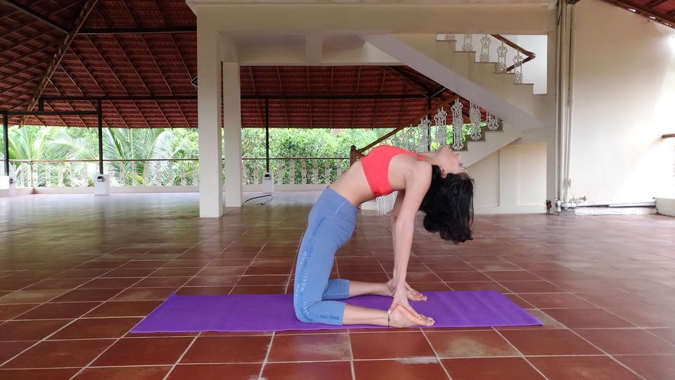 Photo of Aura Goa - Wandering for wellness by Jia Singh