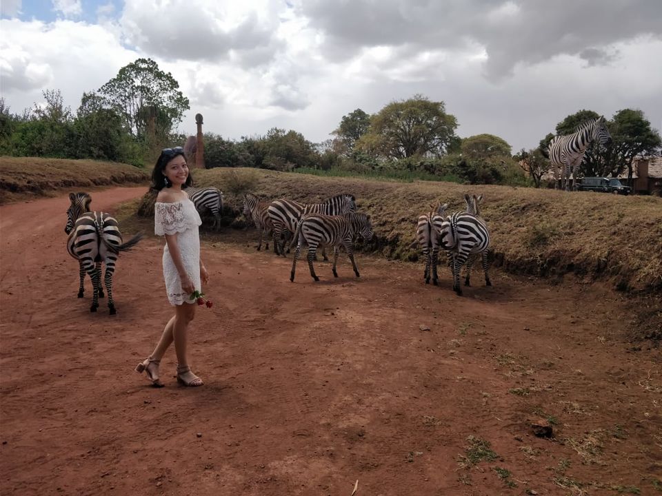 Photo of Journey with andBeyond | Wandering for wellness 2/2 by Jia Singh