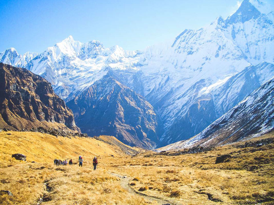 Photo of Annapurna Base Camp Trek 1/1 by Harihar Adhikari