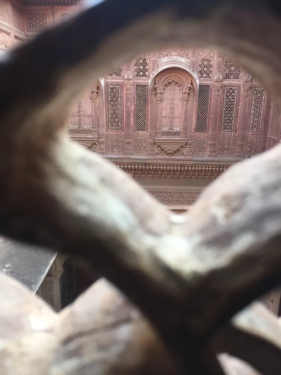 Photo of 2019 Ended with Blue City- Jodhpur ! by Anshu
