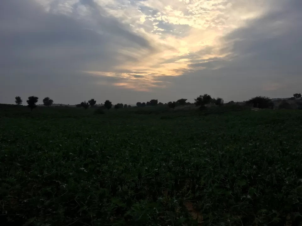 Photo of 2019 Ended with Blue City- Jodhpur ! by Anshu