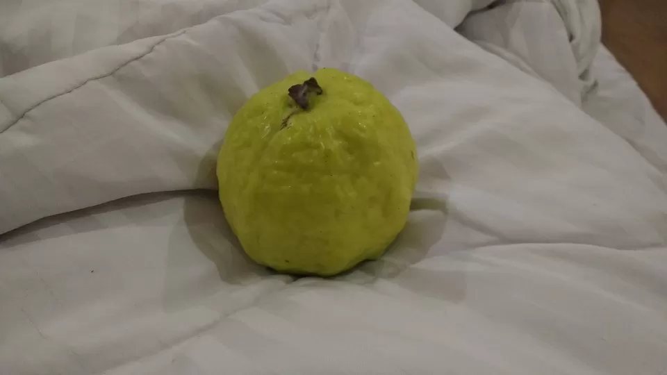 Photo of Ranthambhore Fort, Rajasthan, India by Anshu