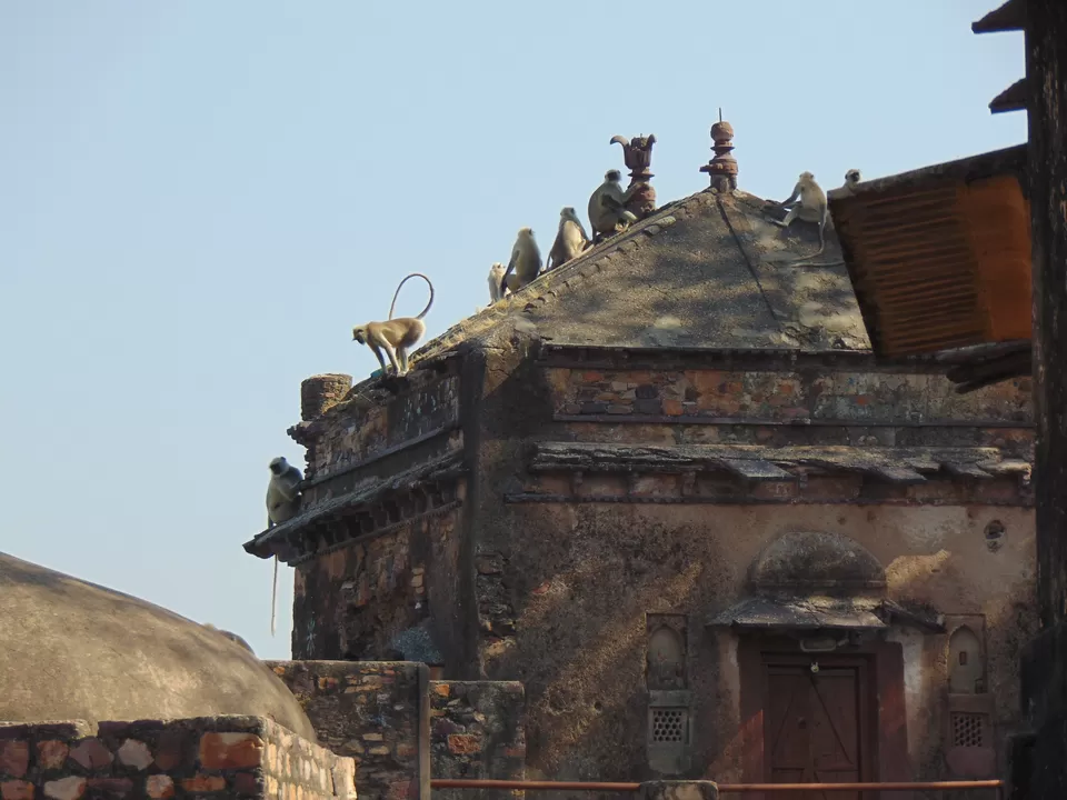 Photo of Ranthambhore Fort, Rajasthan, India by Anshu