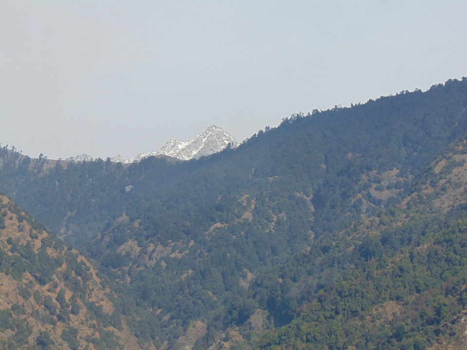 Photo of McLeod Ganj, Dharamshala, Himachal Pradesh, India by Anshu